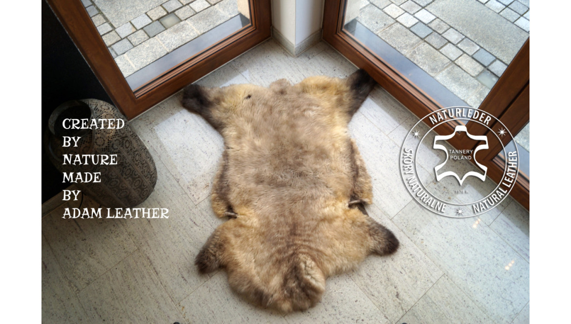 SCHAPENVACHT COLLECTIE 2023 - ADAM LEATHER